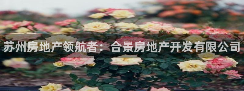万向娱乐官网网址是多少