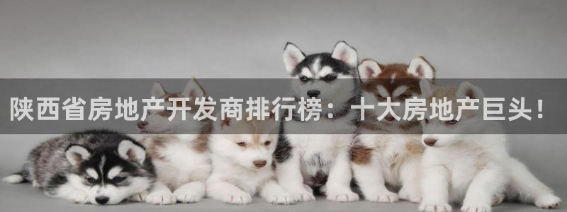 万向娱乐技术分享