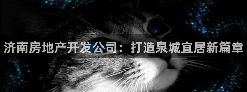 万向娱乐平台代理怎么样啊