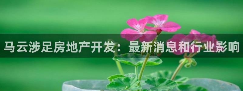 万向娱乐官网网址是什么