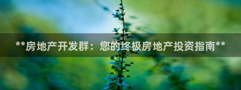 万向娱乐平台代理