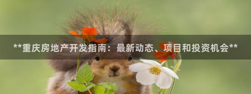 万向娱乐挂机软件