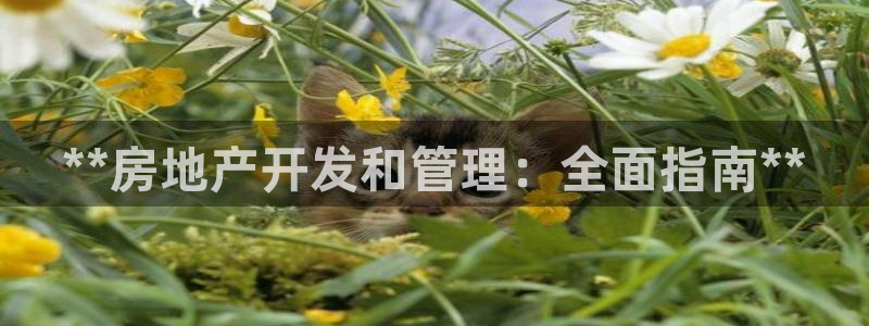 万向娱乐公司官网首页