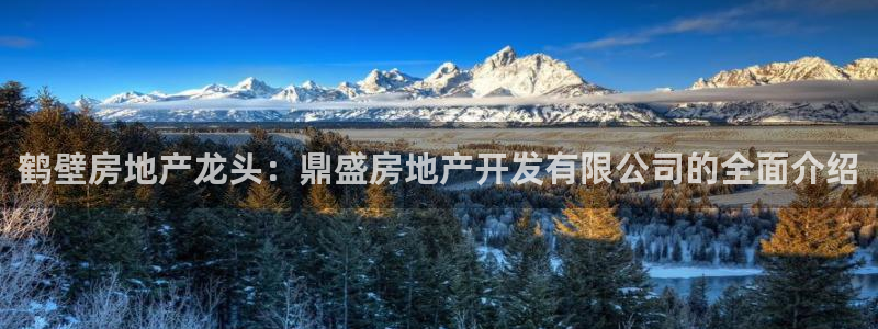 万向娱乐挂机软件