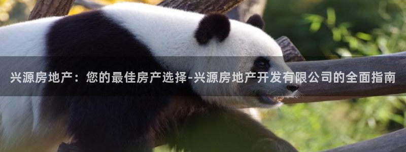 万向娱乐公司 585.34I 娱乐