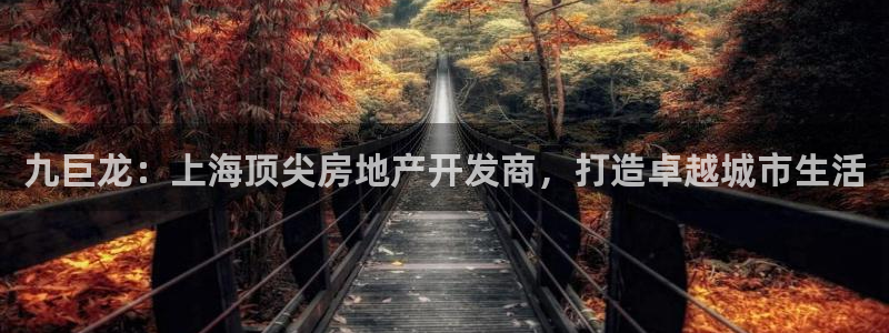 万向娱乐的494o3 主管