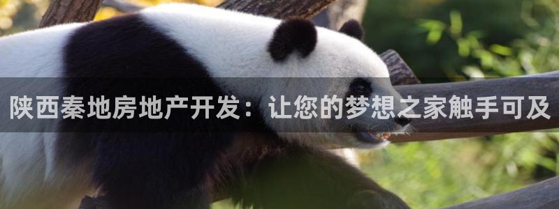 万向娱乐平台招商骗局