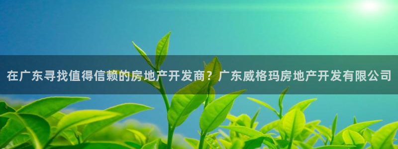 万向娱乐平台代理多少钱一年