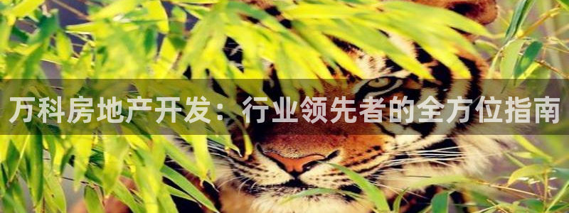 万向娱乐是哪个旗下