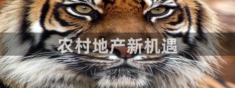 万向娱乐平台提现多久到账