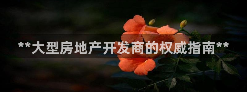 万向娱乐技术分享