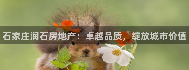 万向娱乐官网网址是什么