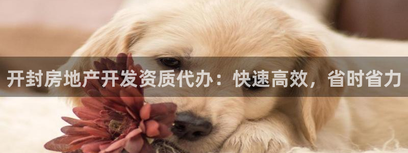 万向娱乐平台代理怎么做赚钱
