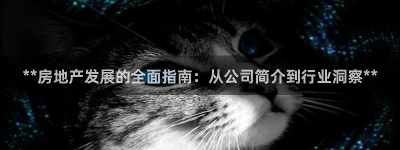 万向娱乐的494o3 主管