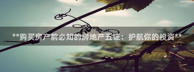 万能娱乐平台直招代理