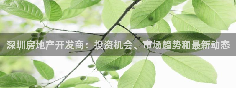 万向娱乐平台代理怎么做的