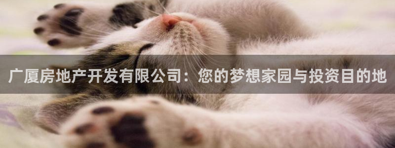 万向娱乐平台代理多少钱一个