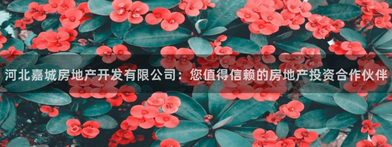 万向娱乐技术分享