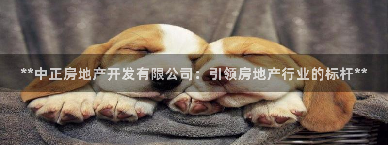 万向娱乐官网