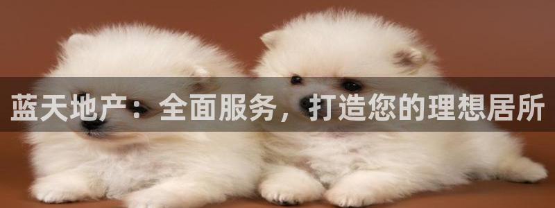 万向娱乐下载安装