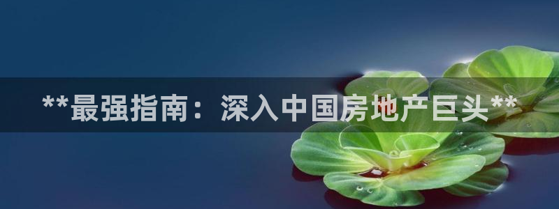 万向娱乐平台代理怎么样