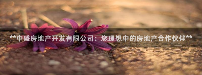 万向娱乐平台下载安装