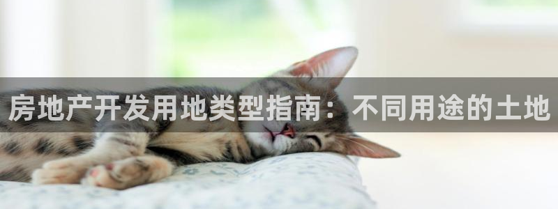 万向娱乐app下载安装
