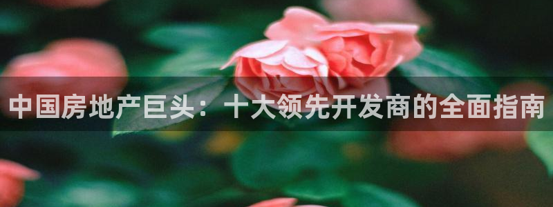 万向娱乐挂机