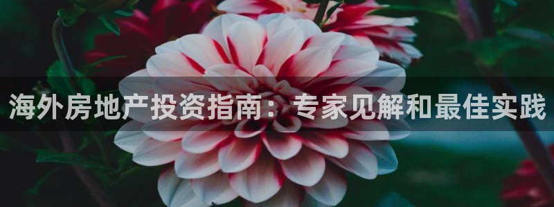 万向娱乐平台代理多少钱一个