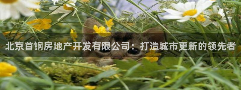 万向娱乐官网下载安装