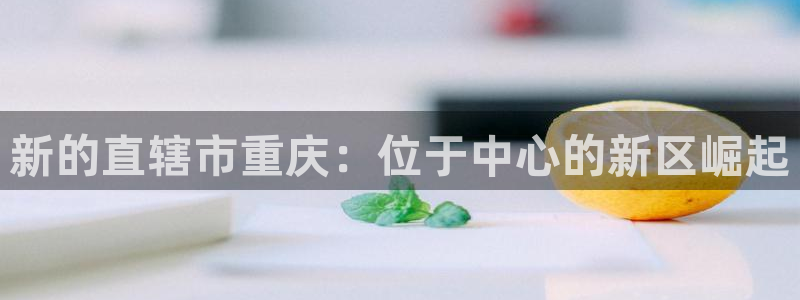 万向娱乐平台代理多少钱
