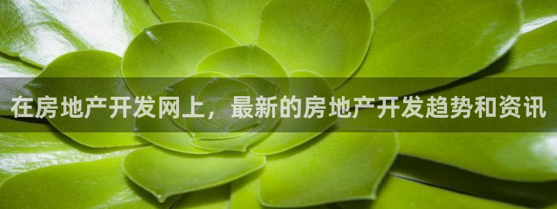 万向娱乐首页