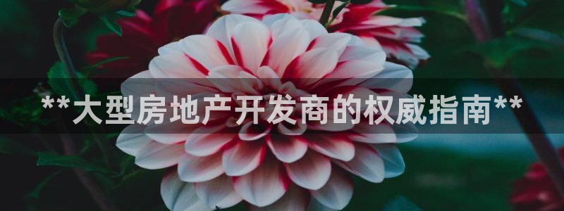 万向娱乐老板
