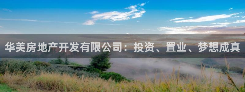 万向娱乐是野鸡台吗