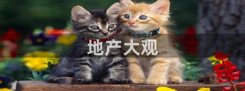 万向娱乐的联系方式有哪些