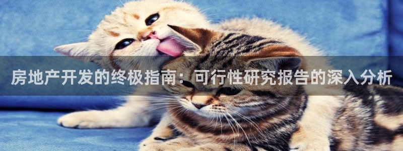 万向娱乐王者荣耀