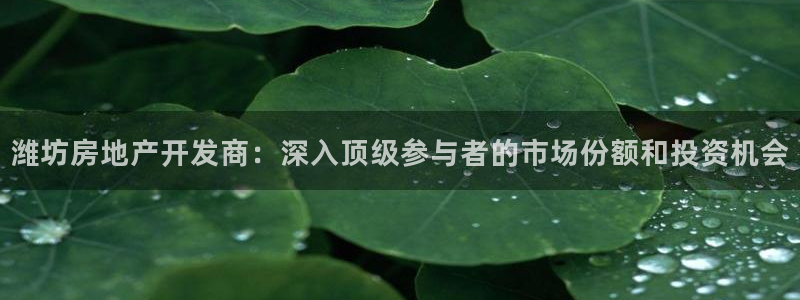 万向娱乐官网网址是多少