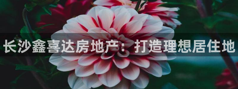万向娱乐