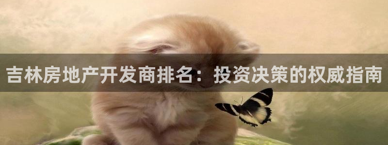 万向娱乐平台代理多少钱