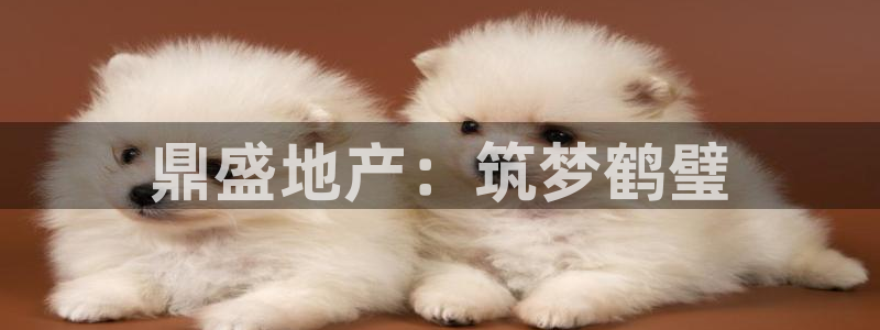 万向娱乐是哪个旗下