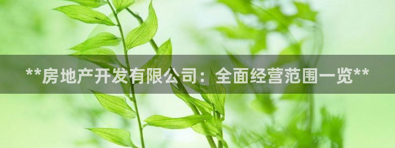 万向娱乐王者荣耀