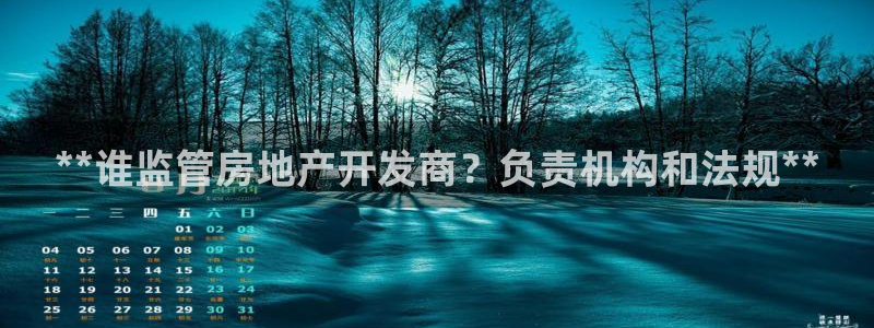 万向娱乐王者荣耀