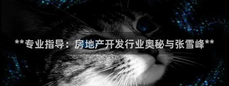 万向娱乐技术分享