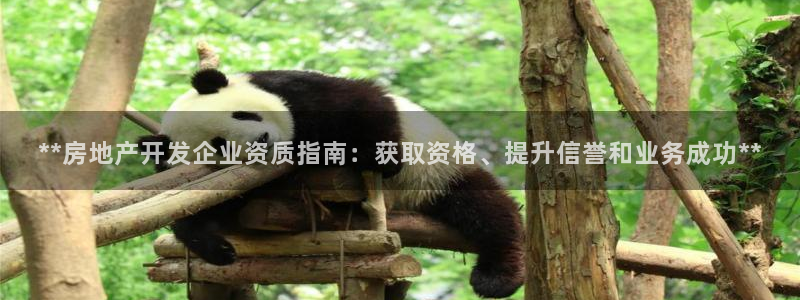 万向娱乐app下载