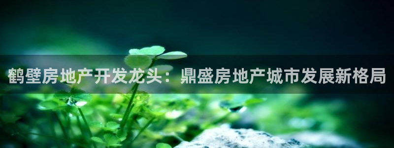 万向娱乐平台招商骗局