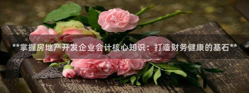 万向娱乐代理好看视频是真的吗
