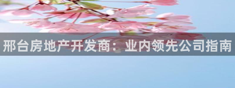万向娱乐王者荣耀