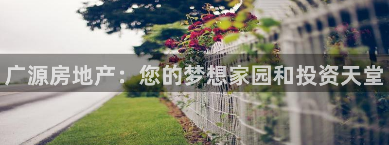万向娱乐是野鸡台吗