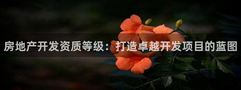 万向娱乐的联系方式是什么