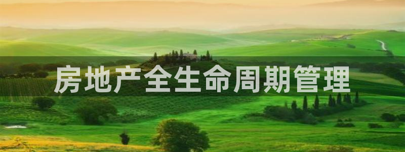 万向娱乐挂机软件